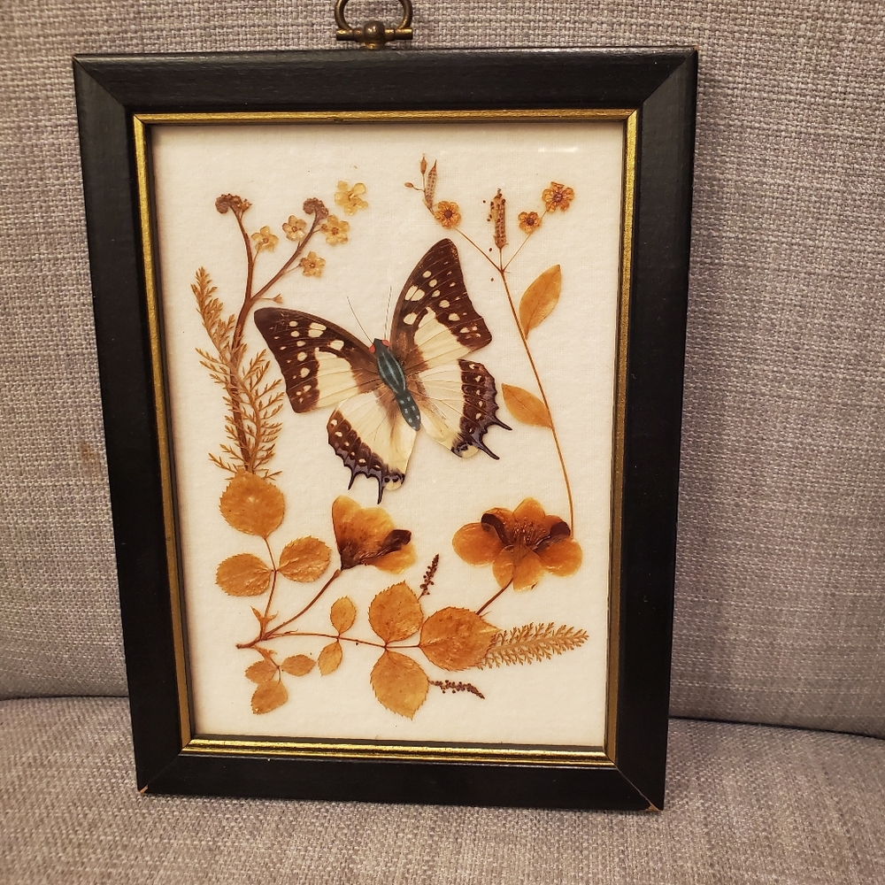 Vintage dried flower picture, wooden frame, 8x6